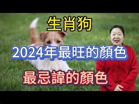 生肖狗 幸運色|2024年属狗人穿什么颜色最旺 2024年属狗的幸运色